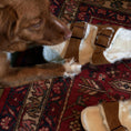 carregar imagem na visualização da galeria, GARDENIA-BIRKENSTOCK-1001135-ARIZONA-SHEARLING-MINK-7