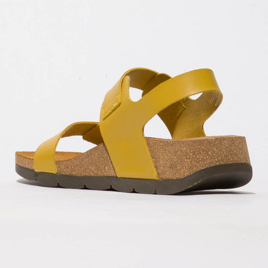 CEKE / MUSTARD