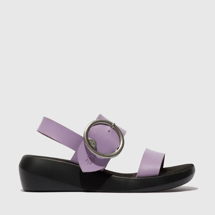 BANI / VIOLET