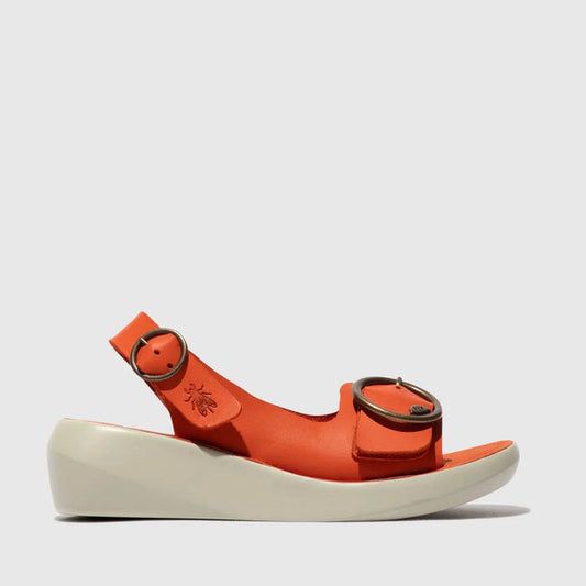 BERK / CORAL