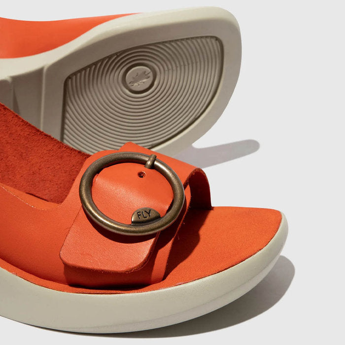 BERK / CORAL