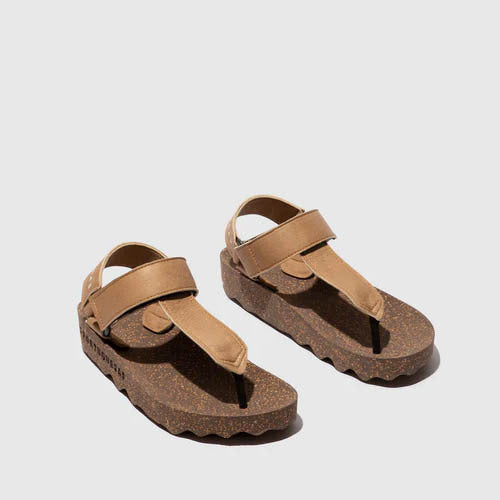 FIZZ / SAND+BROWN