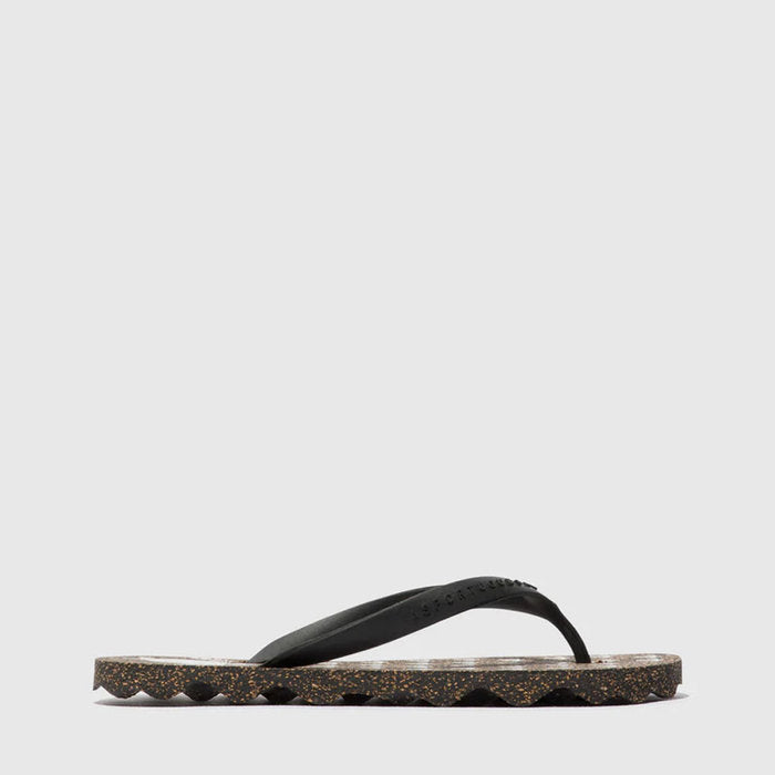 TURTLE / BLACK