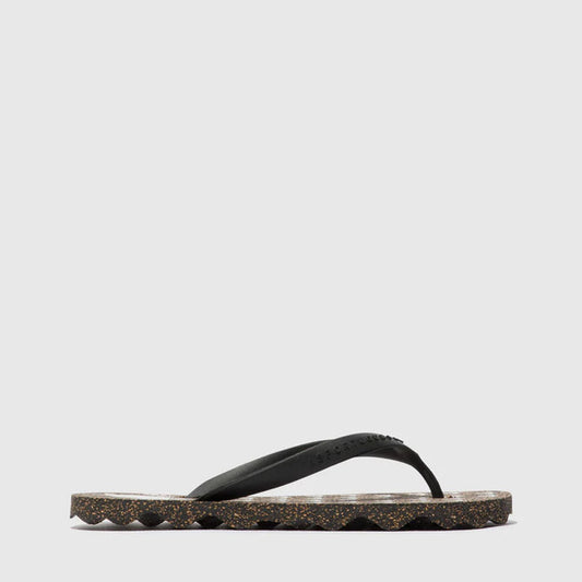 TURTLE / BLACK