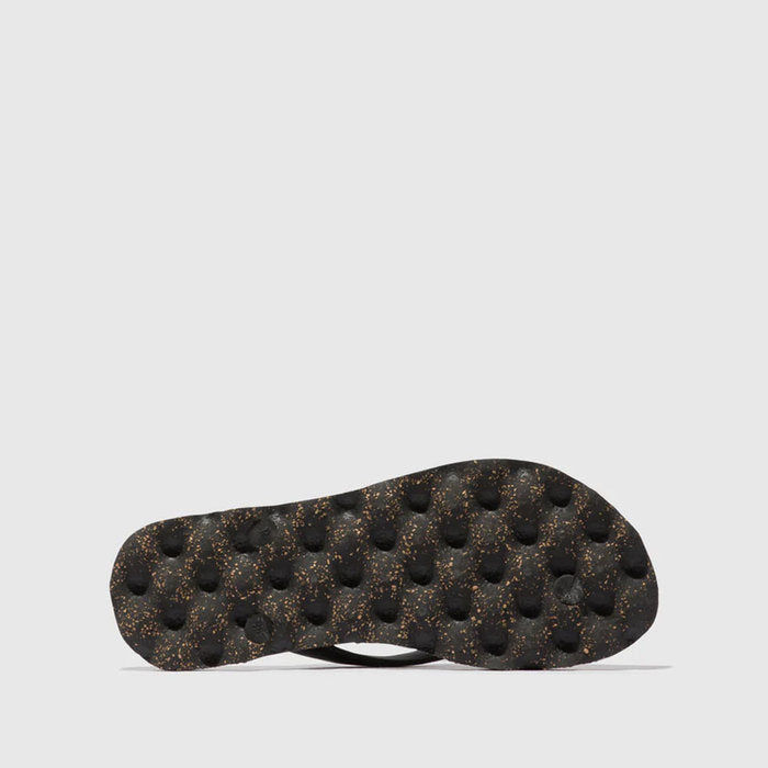 TURTLE / BLACK