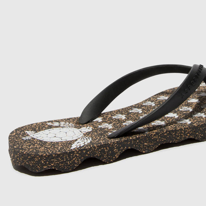 TURTLE / BLACK