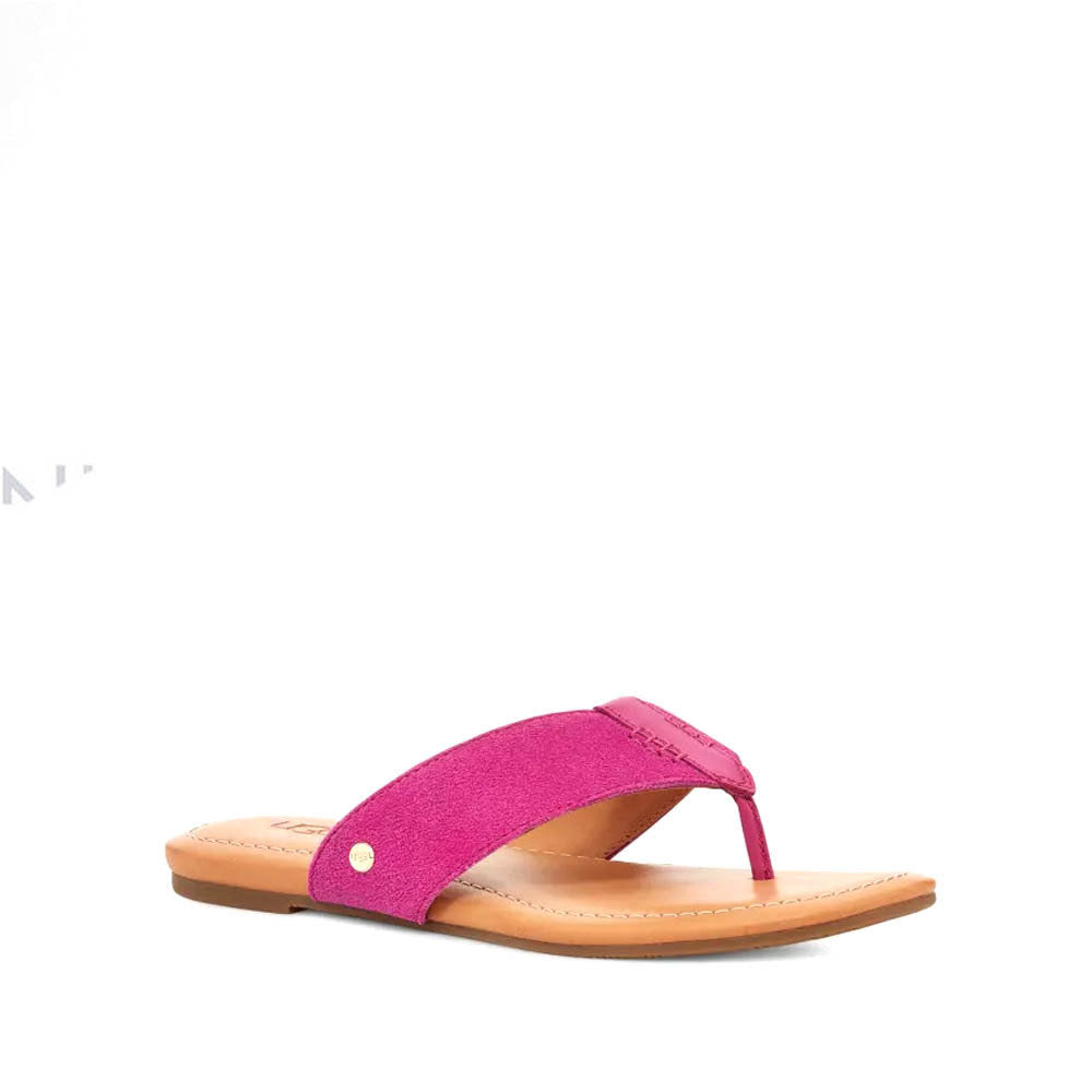 W CAREY FLIP / DRAGON FRUIT