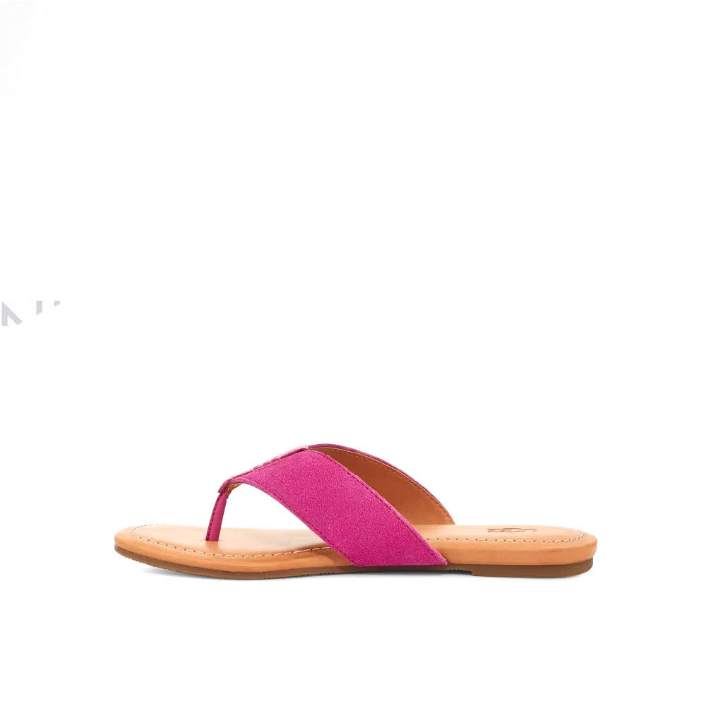 W CAREY FLIP / DRAGON FRUIT