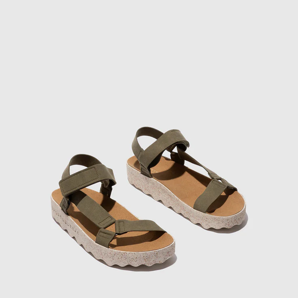 CLEW L / MILITARY
