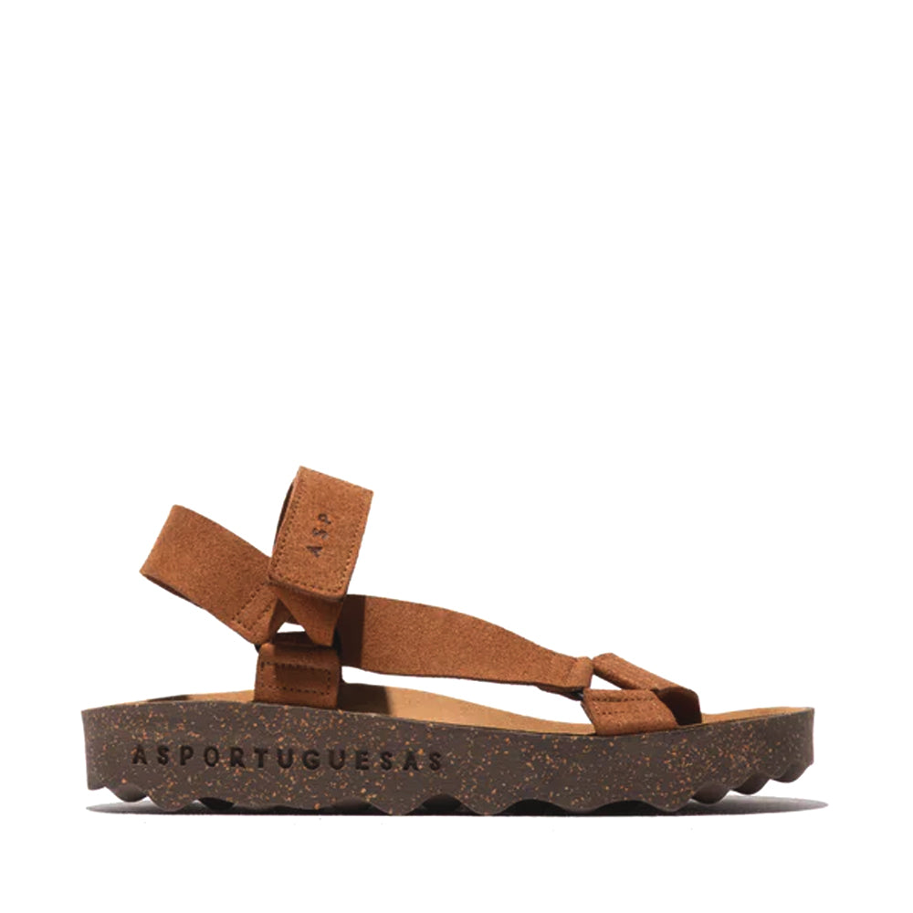 CLEW L / BROWN