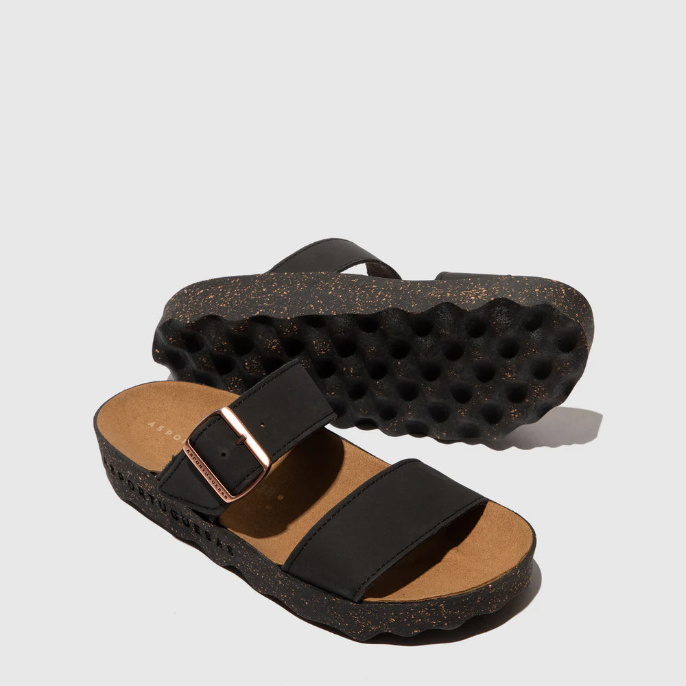 COLY L / BLACK+COBRE