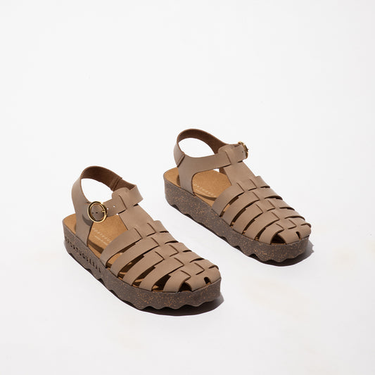 CALIX L / NUBUC SAND