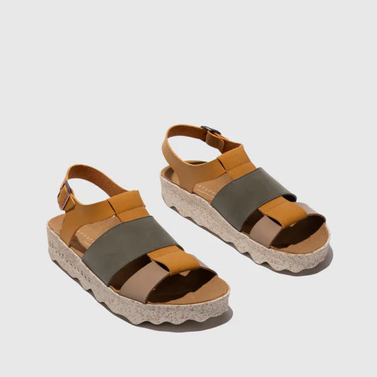 CALLA L / MULTI+CAMEL