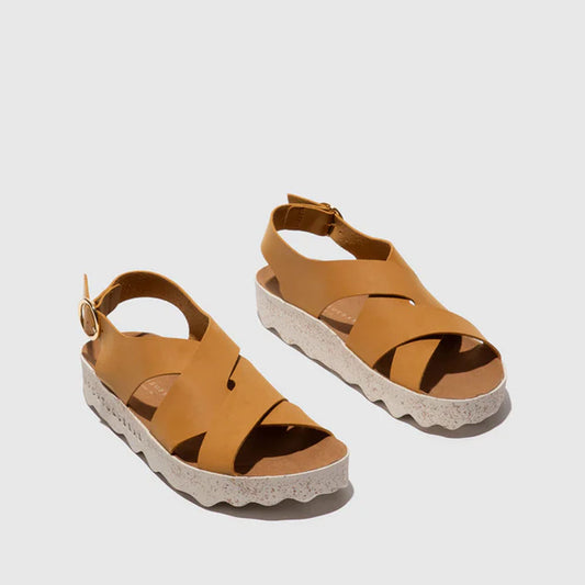 CUSK L / NUBUC CAMEL