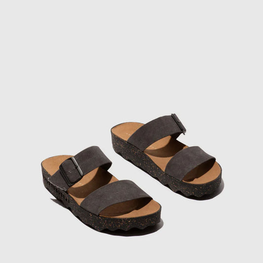 COLY2 L / COTTO BLACK