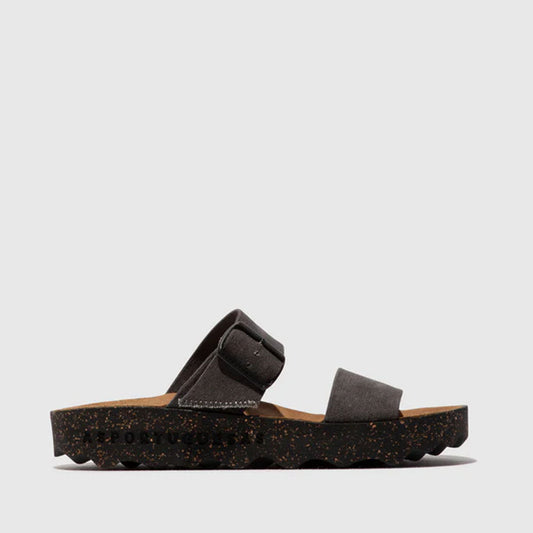 COLY2 L / COTTO BLACK