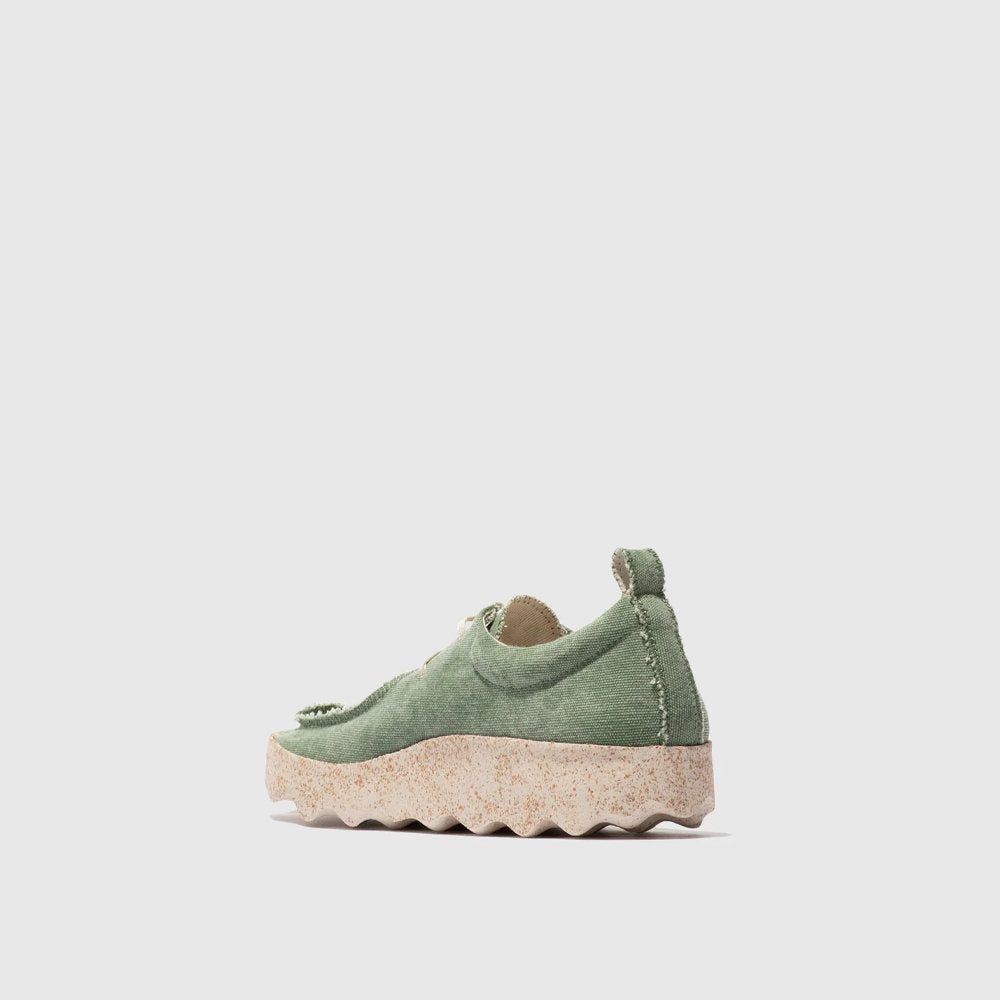 CHAT M / WASHED KHAKI