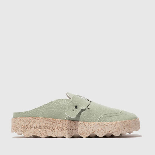 COLE L / GREEN