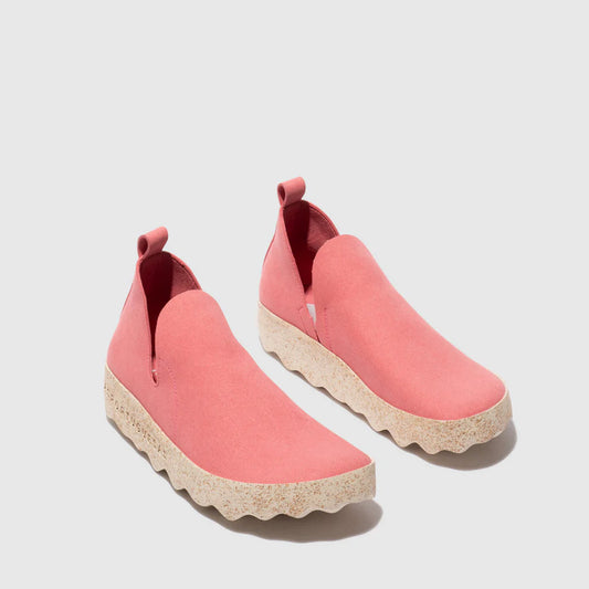 CLOE L / ROSE