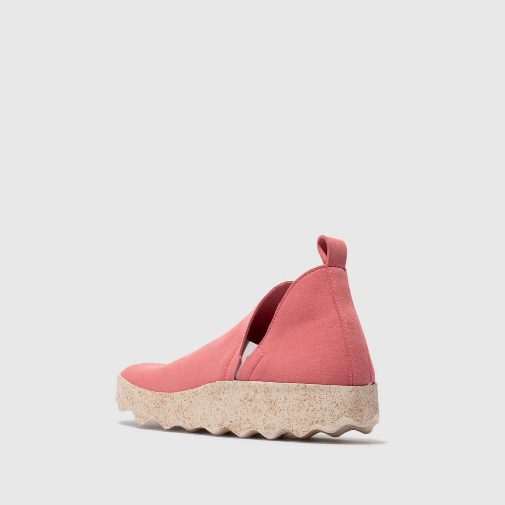 CLOE L / ROSE
