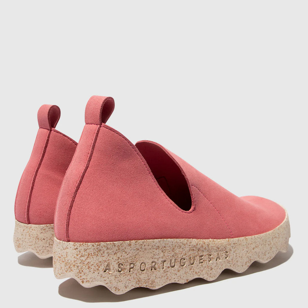 CLOE L / ROSE