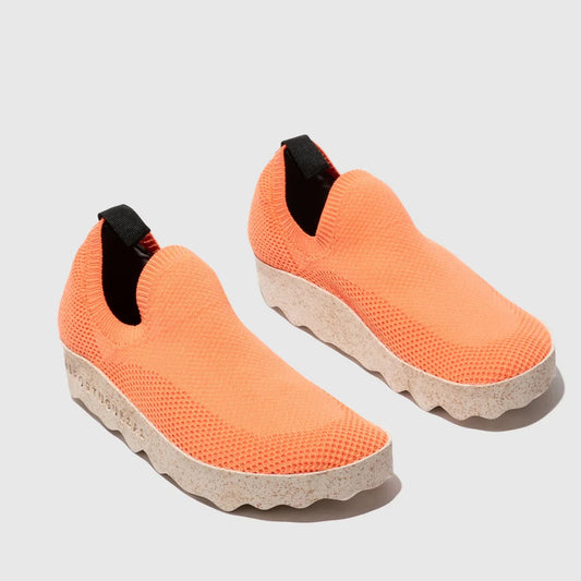 CLIP L / CORAL
