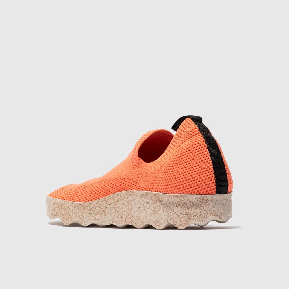 CLIP L / CORAL