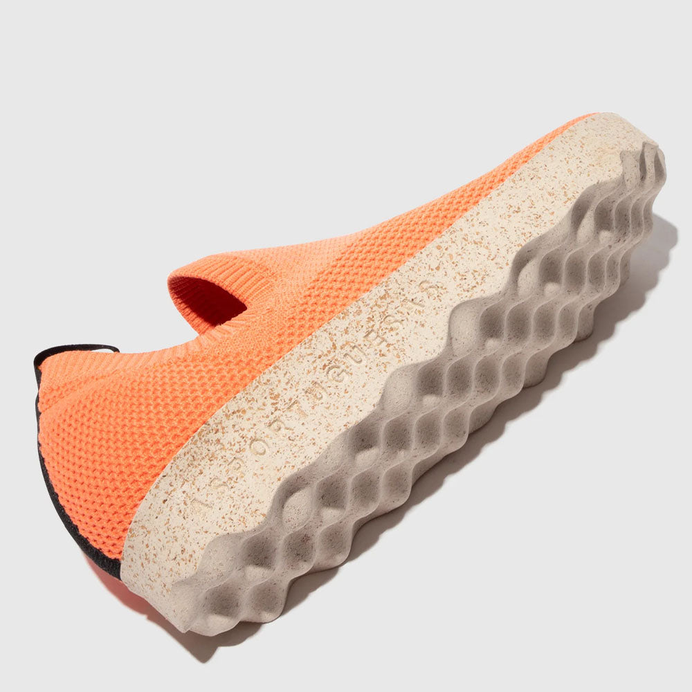 CLIP L / CORAL