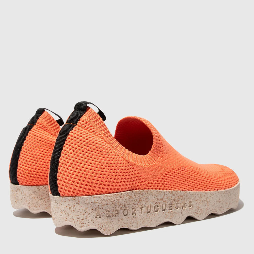 CLIP L / CORAL