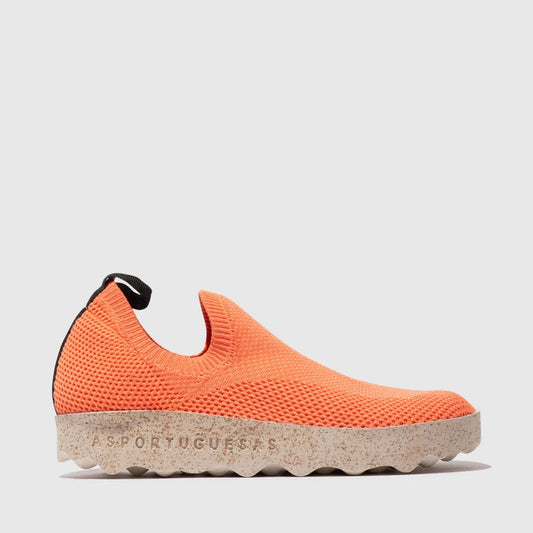 CLIP L / CORAL