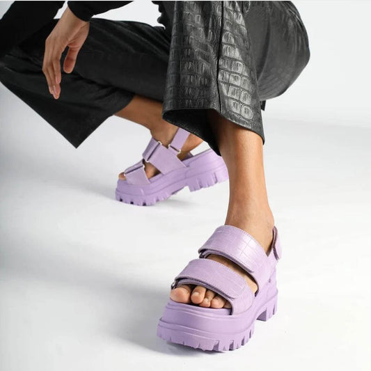 ASPHA SND / CROCO LAVENDER
