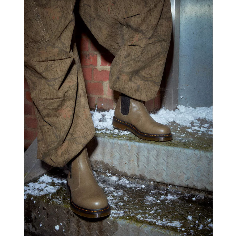 2976 / OLIVE