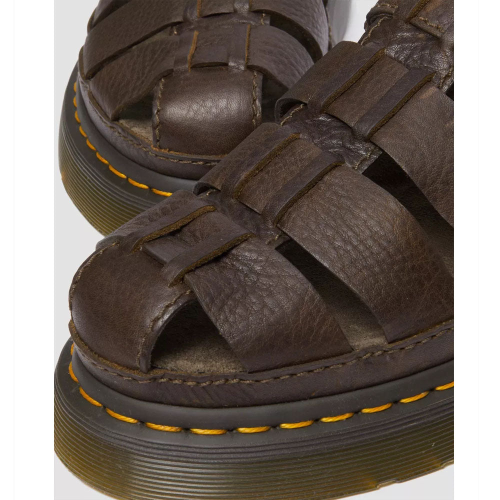 WRENLIE / DARK BROWN GRIZZLY