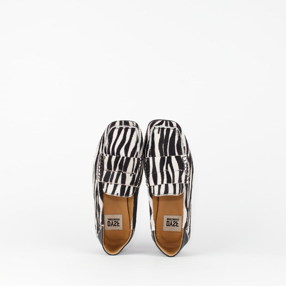 HEMPY / ZEBRA