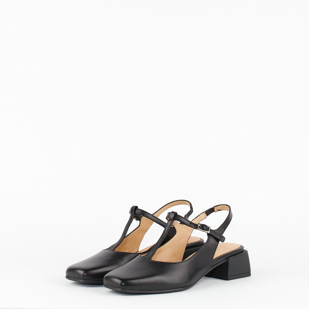 NOVAL / OLP BLACK
