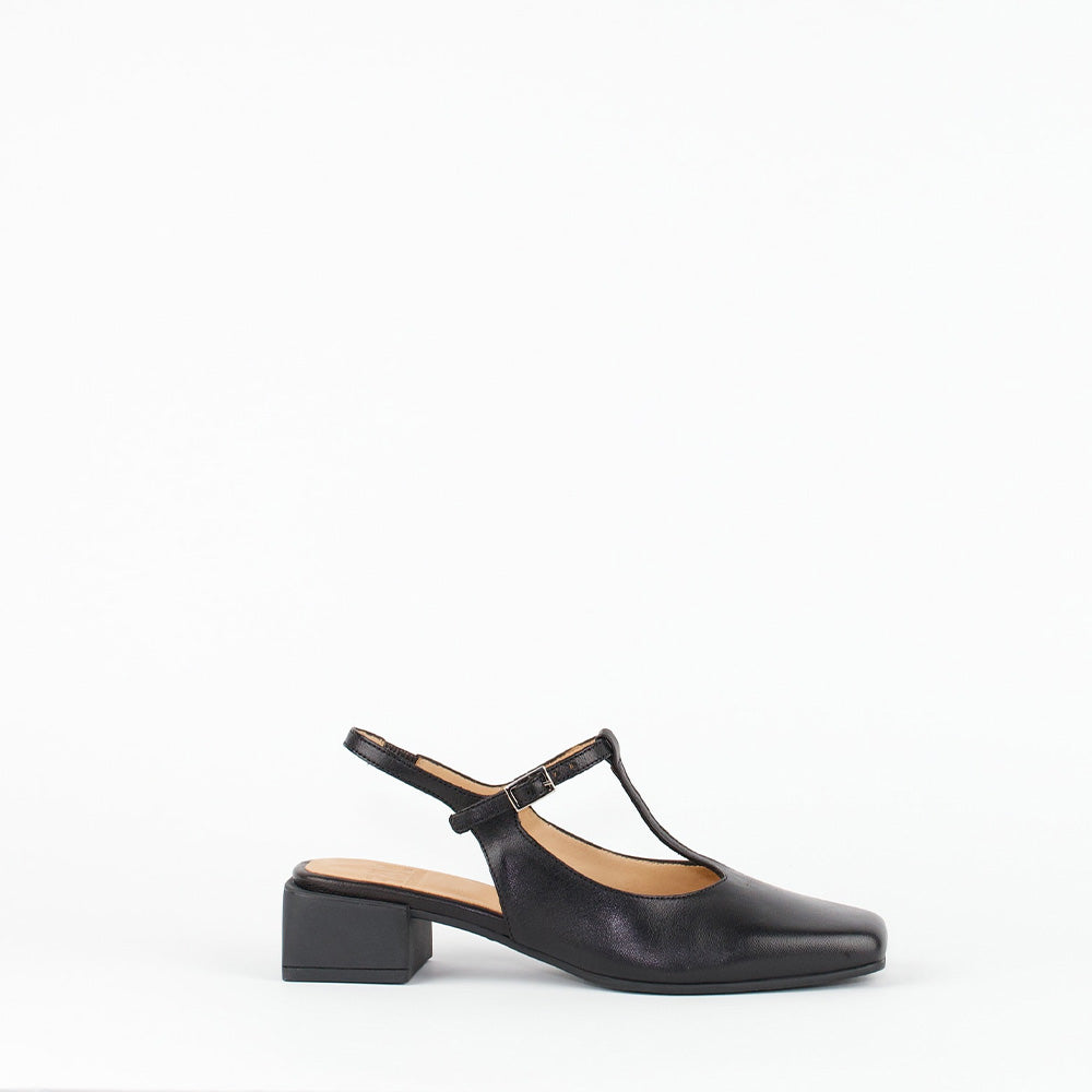 NOVAL / OLP BLACK