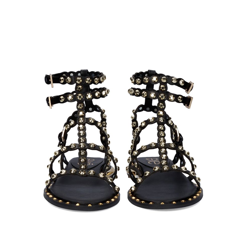 VF2056-2 / BLACK+GOLD