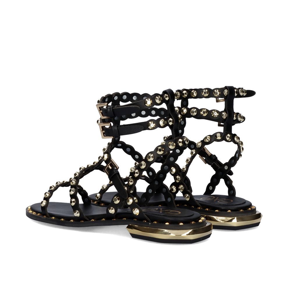VF2056-2 / BLACK+GOLD