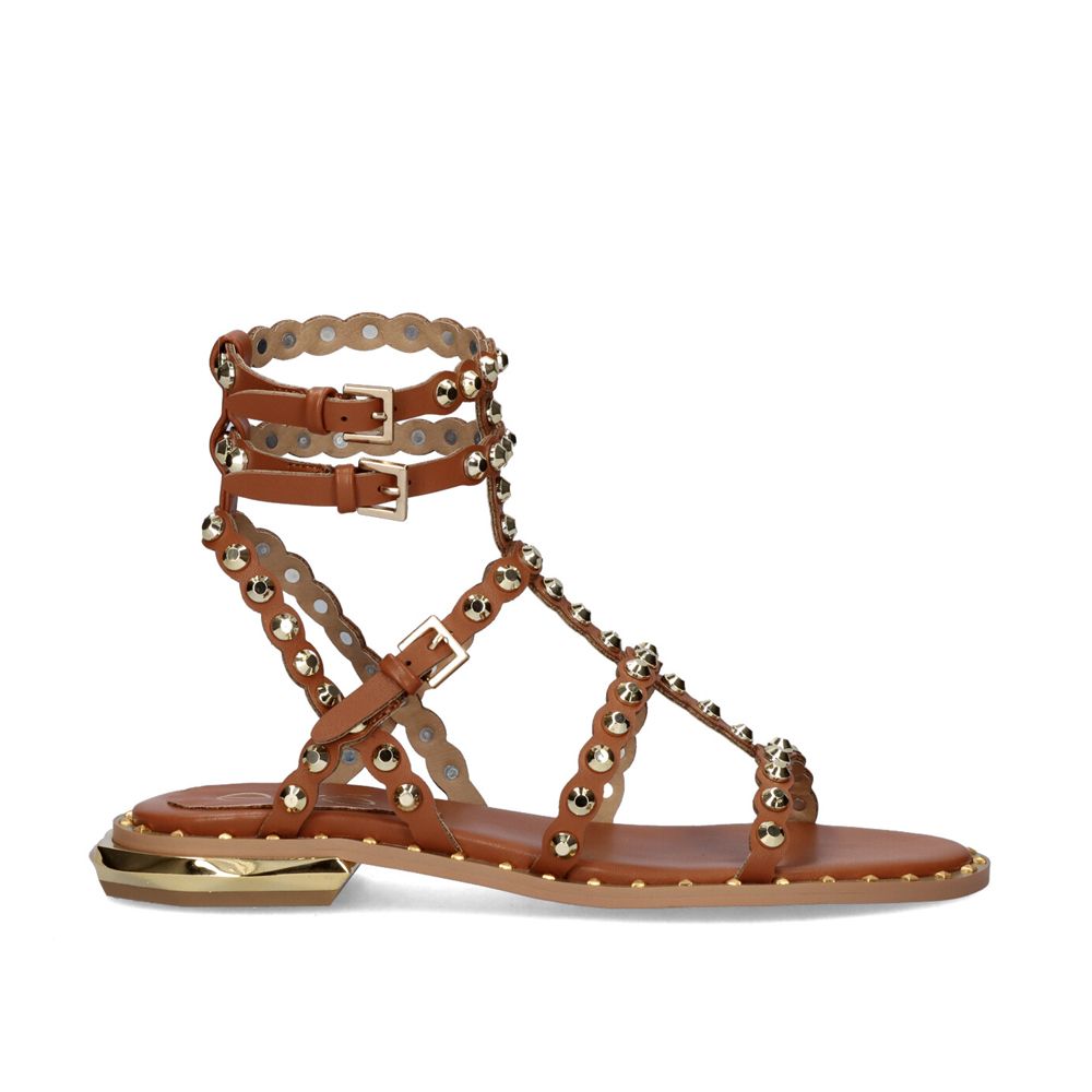 VF2056-2 / TAN+GOLD