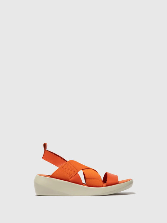 BAJI / CORAL