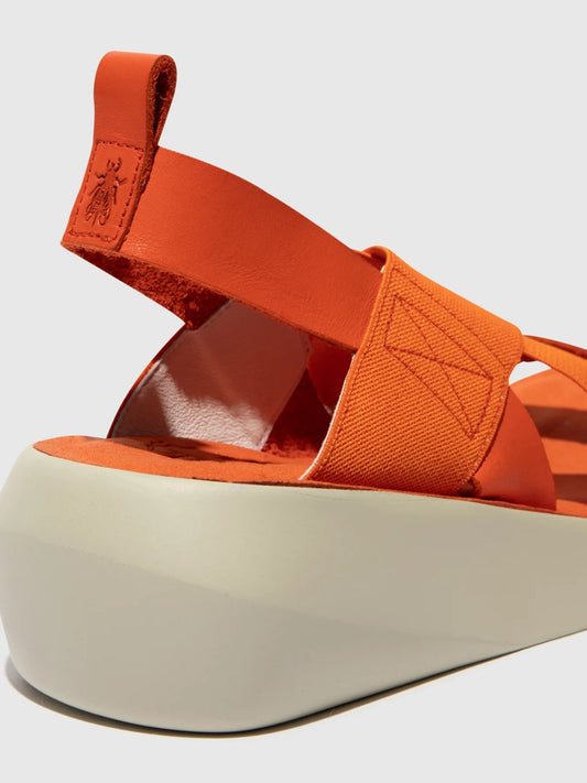 BAJI / CORAL