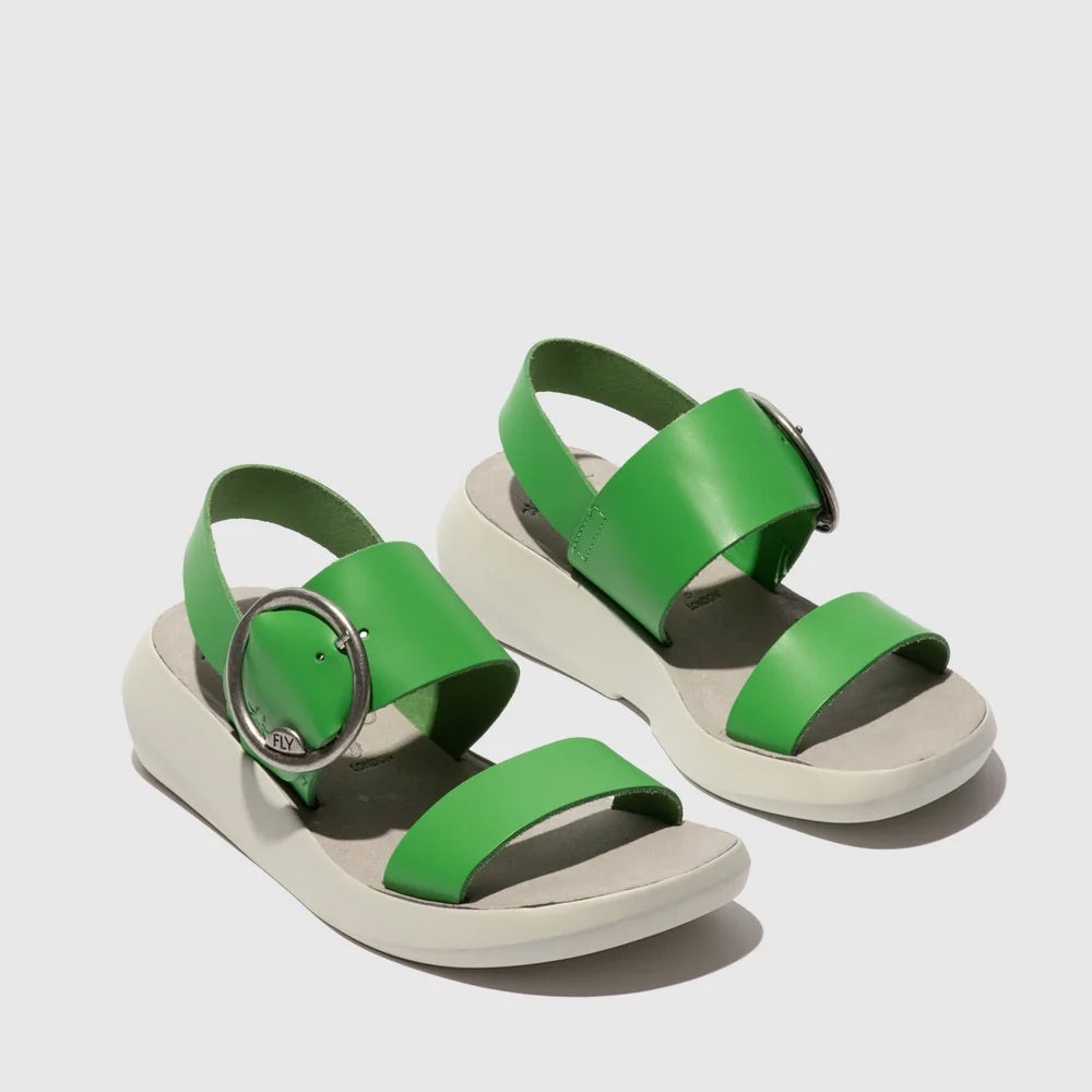 BANI / GREEN