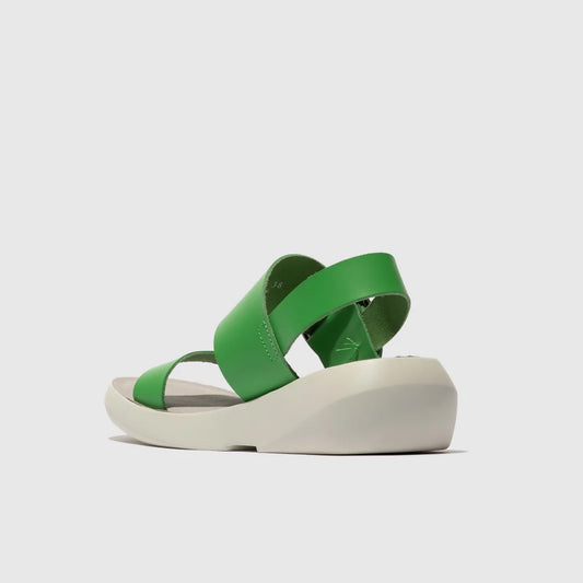 BANI / GREEN