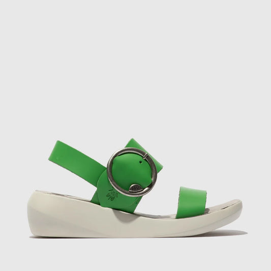 BANI / GREEN