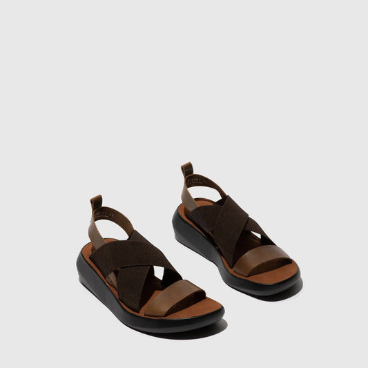 BAJI / CAMEL