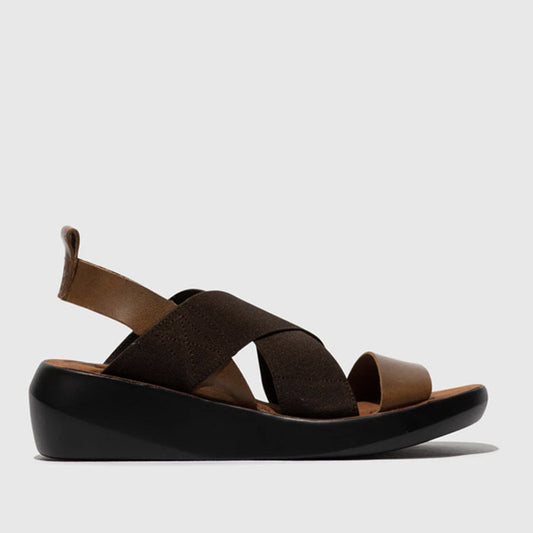 BAJI / CAMEL