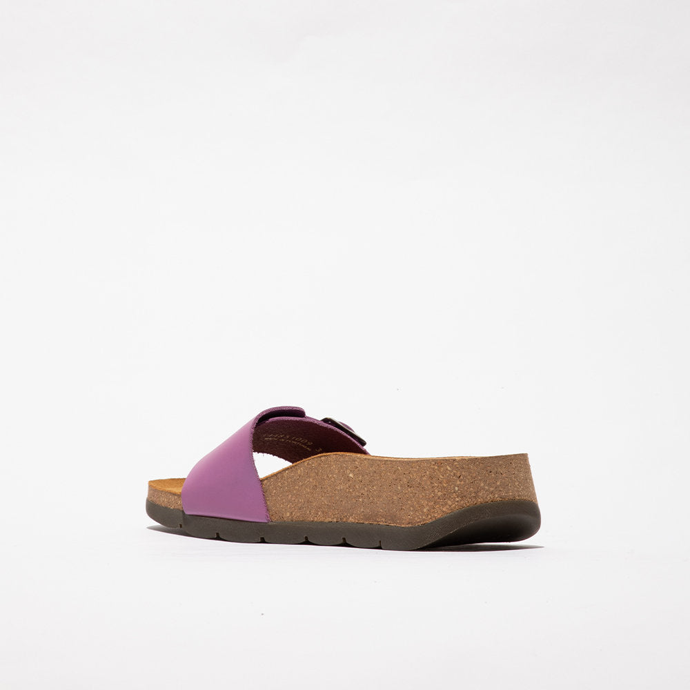 CARB / VIOLET
