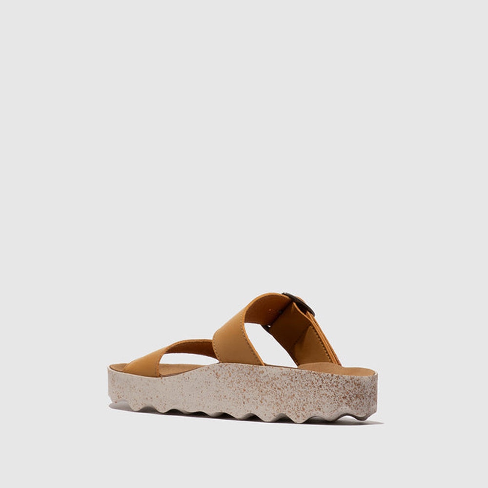 COLY L / CAMEL