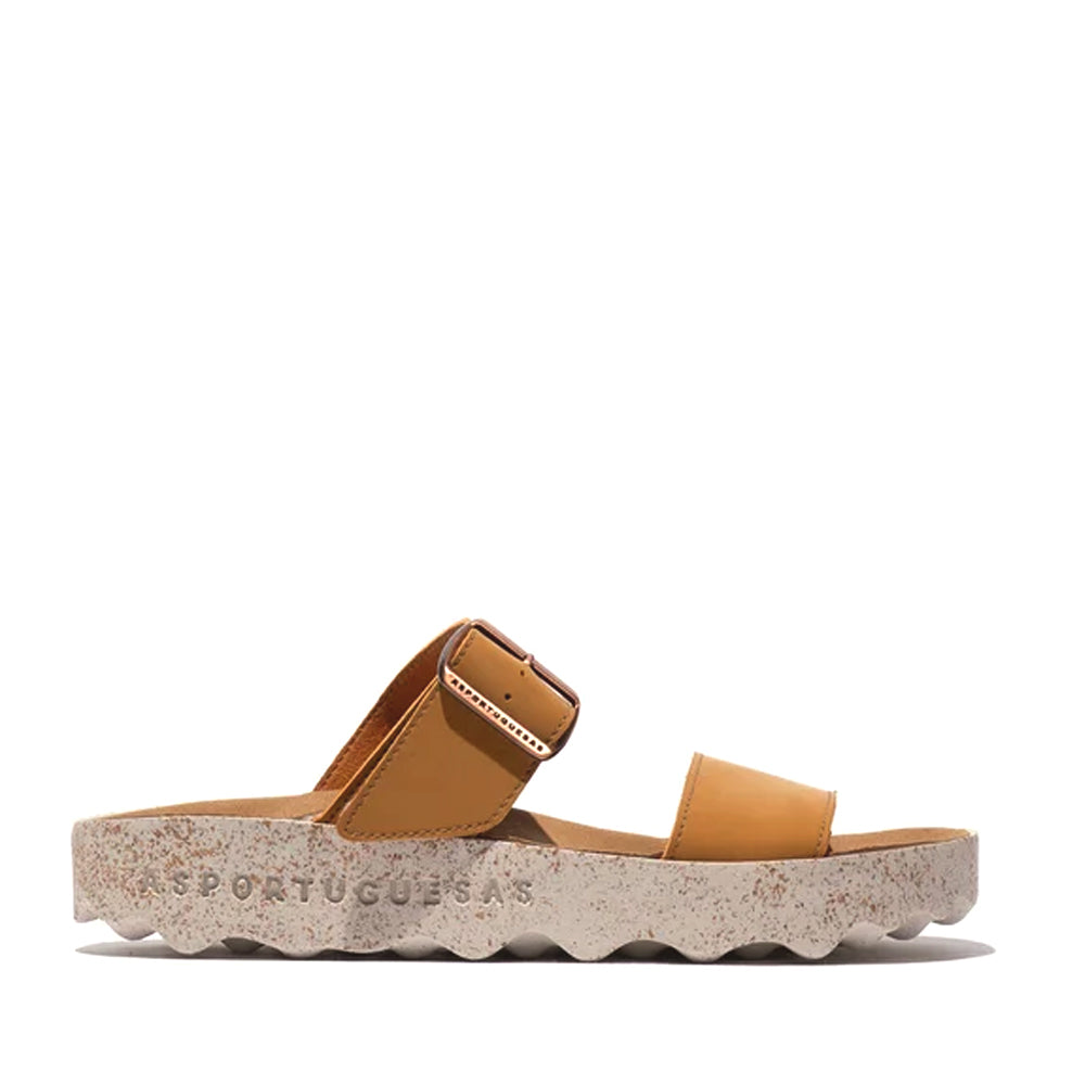 COLY L / CAMEL