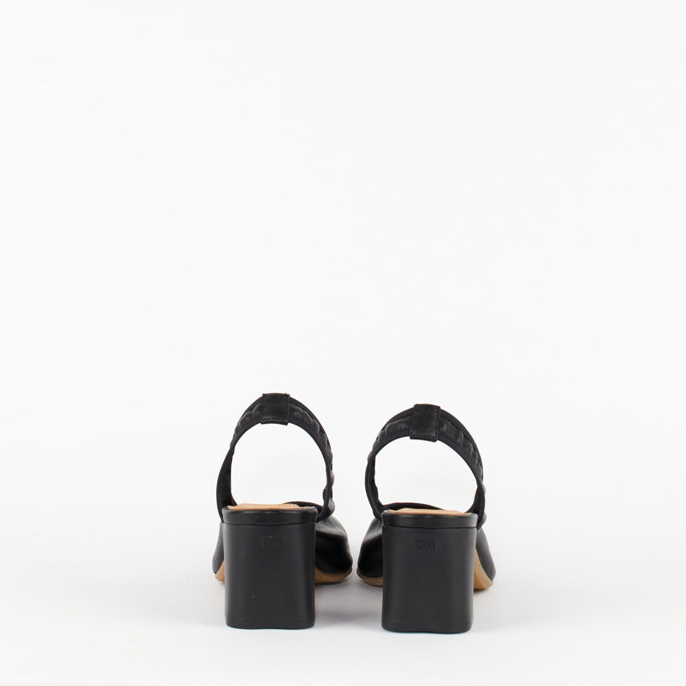 CATNESS / LT BLACK